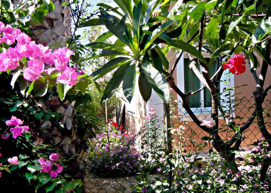 Rododafni Villas Klorakas Zewnętrze zdjęcie